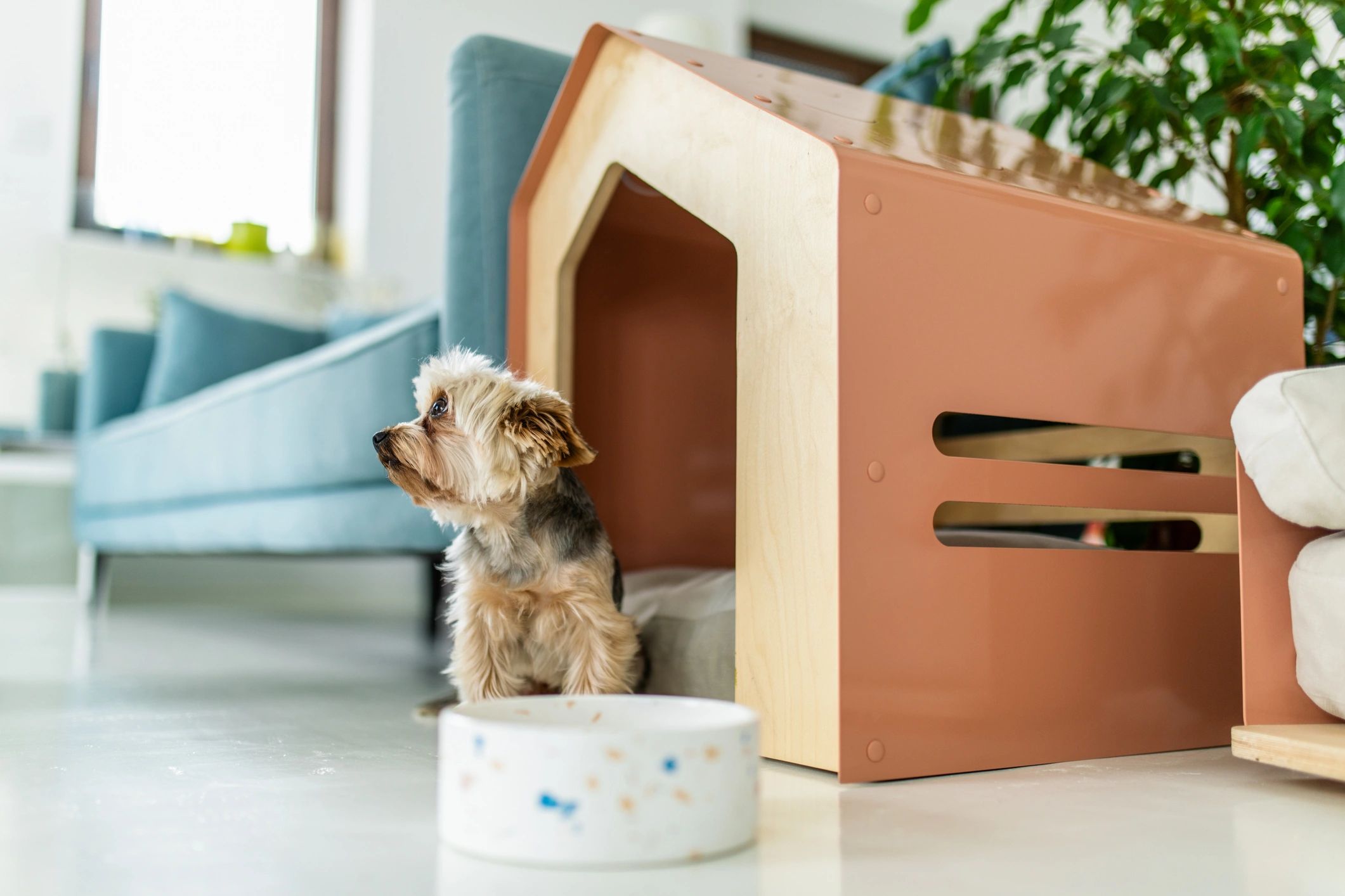 Treat Storage Jar