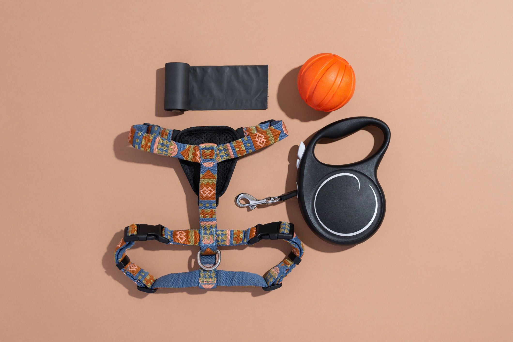 Curated selection of dog essentials and accessories